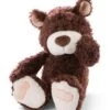 NICI 47603 Kuscheltier Bär Classic Bear NICI Green 25 Cm